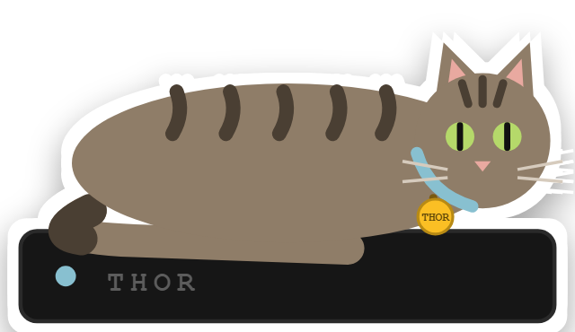 Thor, el gato atigrado, despierto sobre su mini servidor